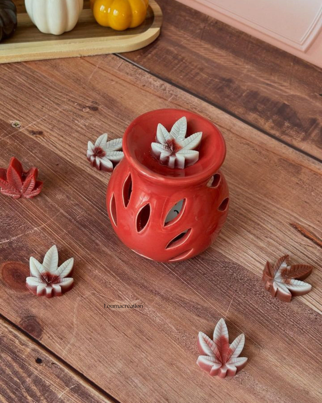 Coffret feuilles d'érables
