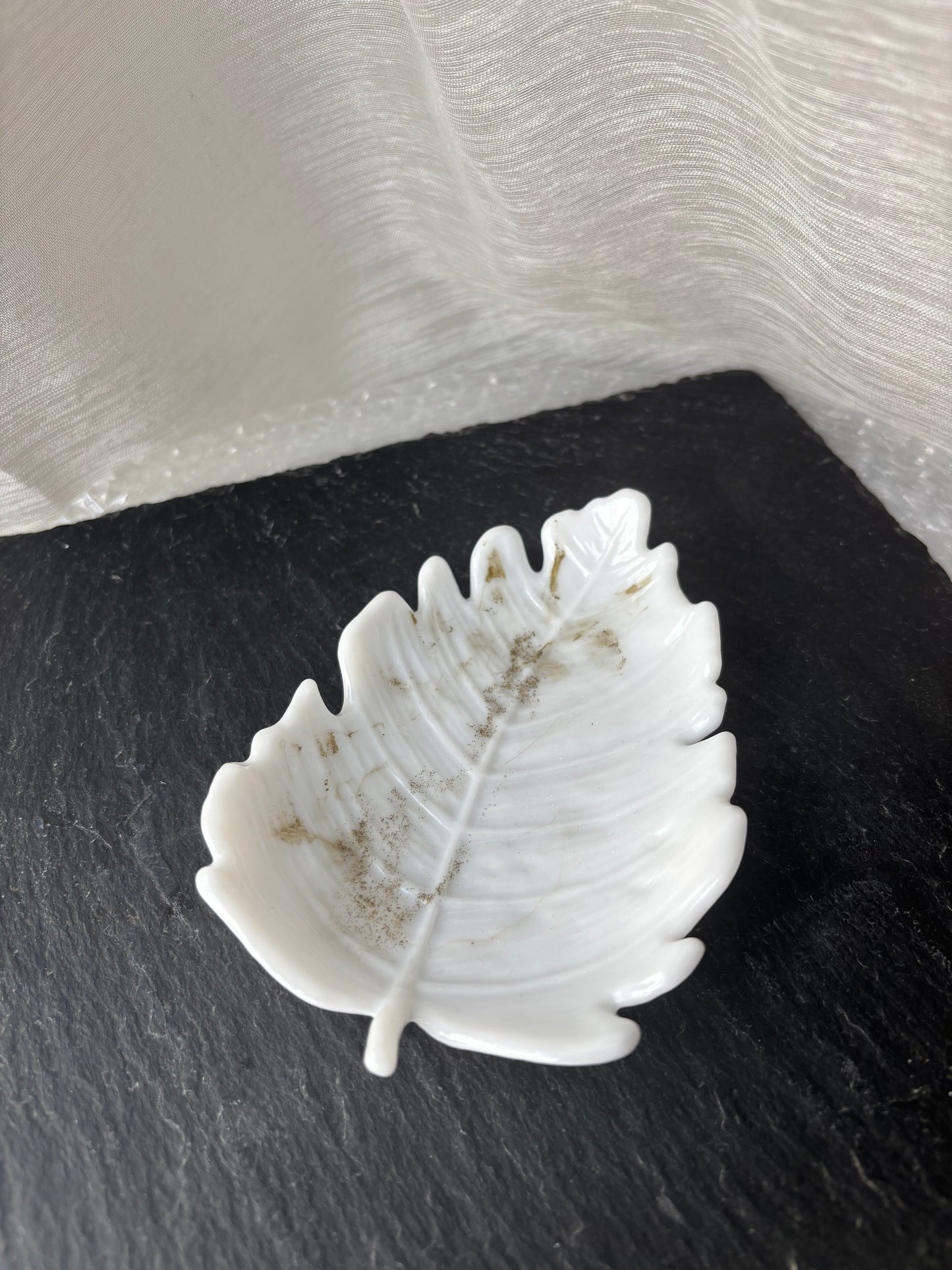 Coupelle feuille blanche
