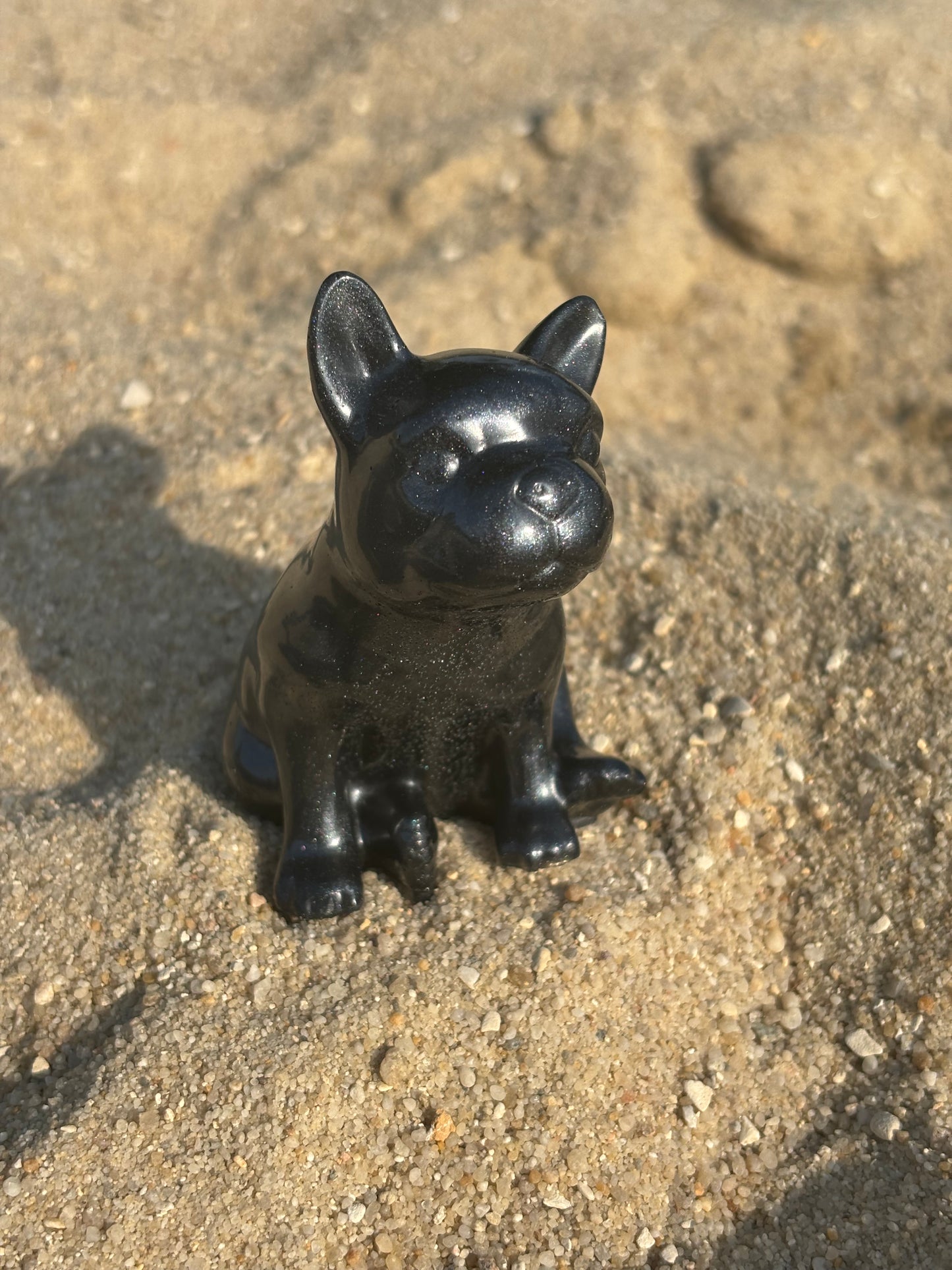 Mini Bouledogue noir