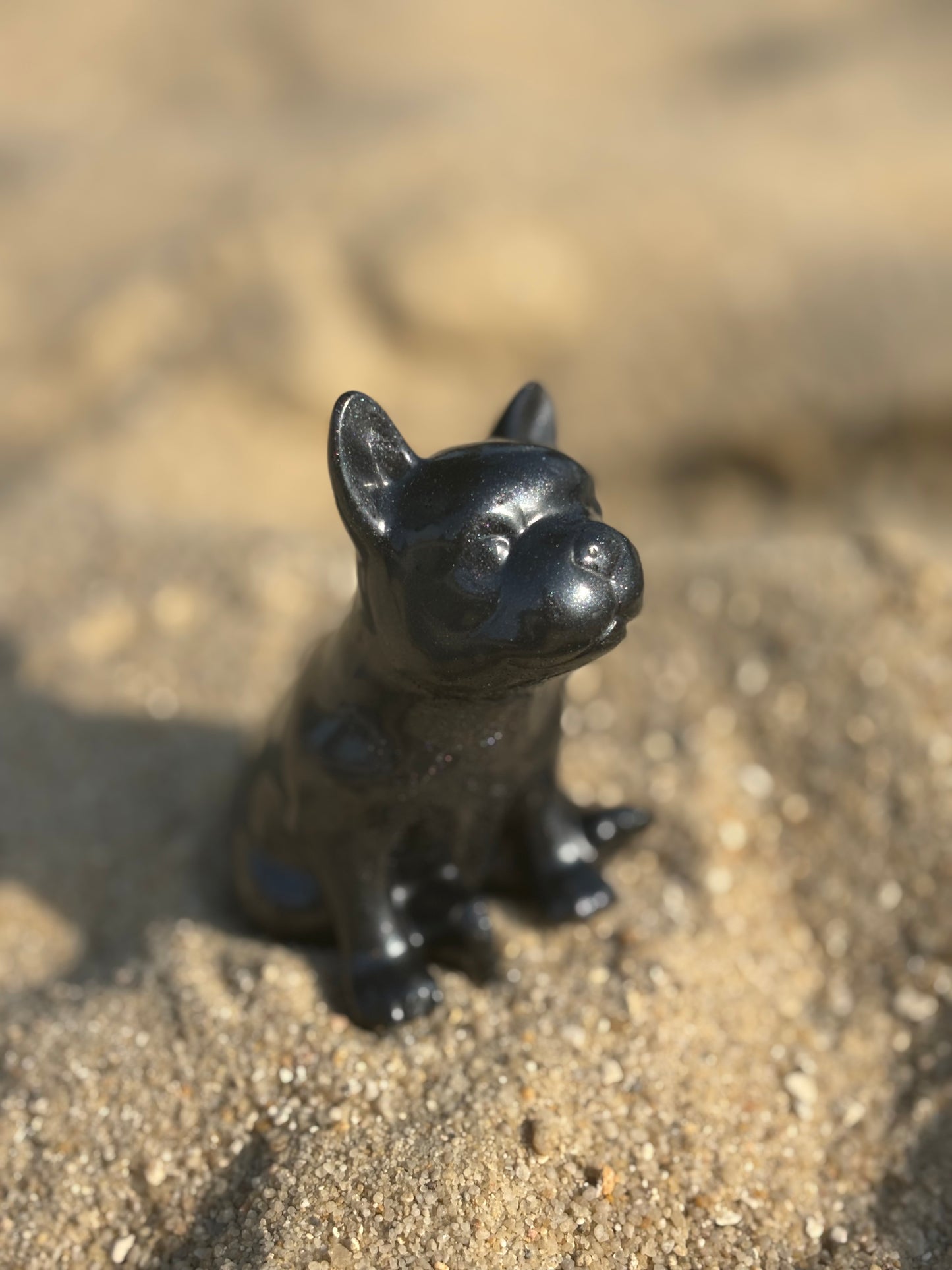 Mini Bouledogue noir