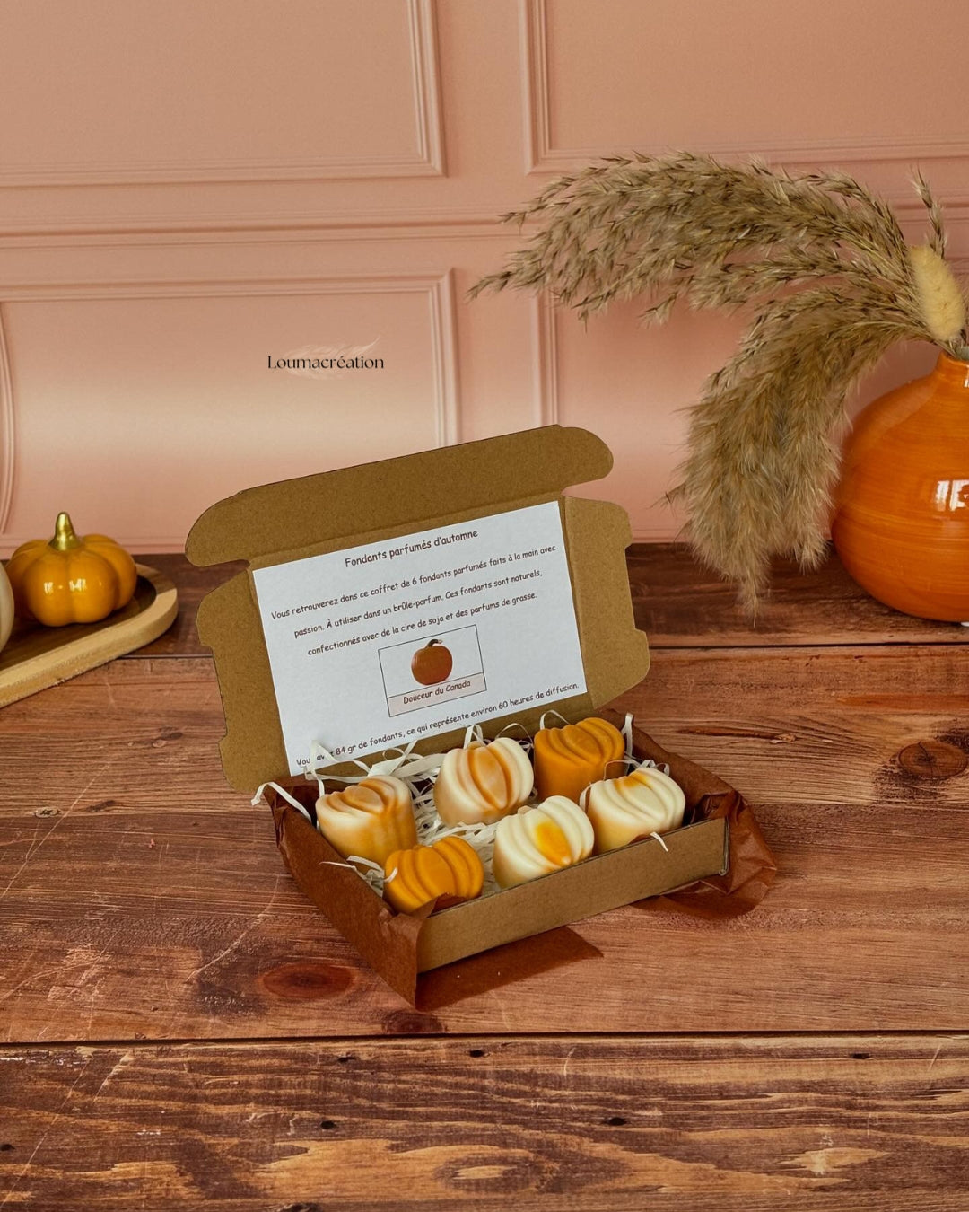 Coffret minis citrouilles