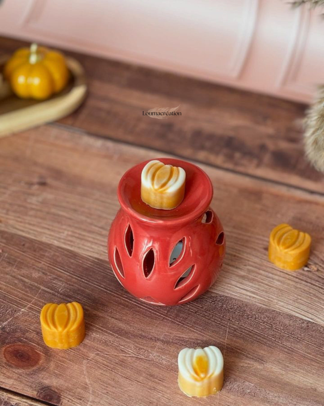 Coffret minis citrouilles