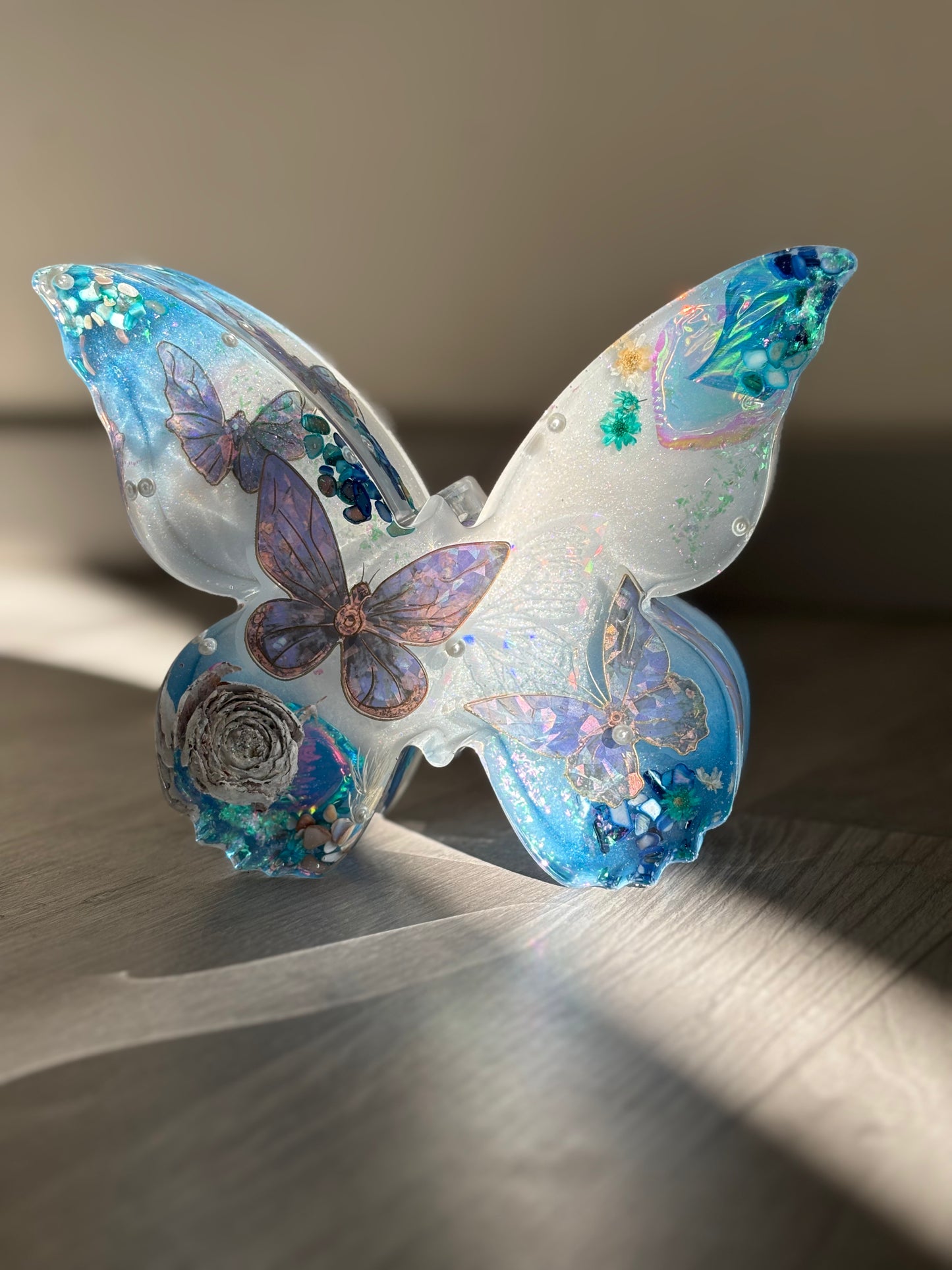 Papillon géant