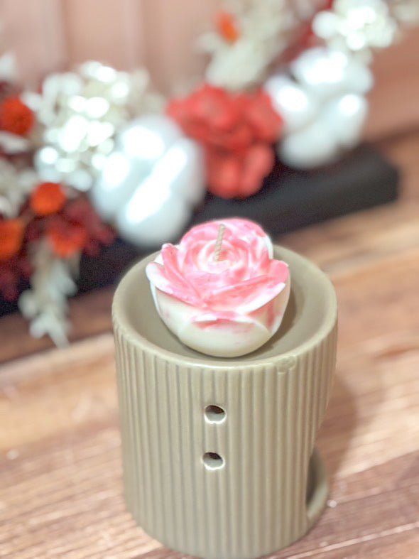 Rose Illuminé