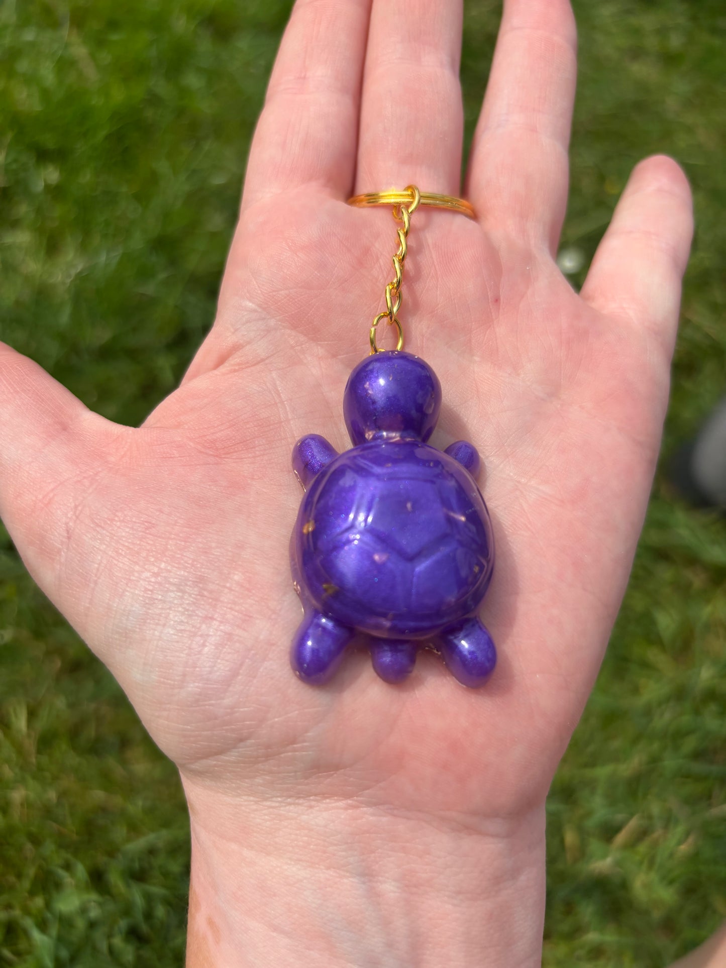 Tortue violette or