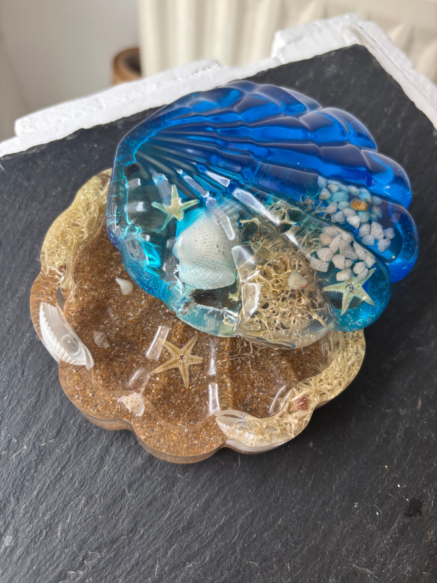 Boîte coquillage océan