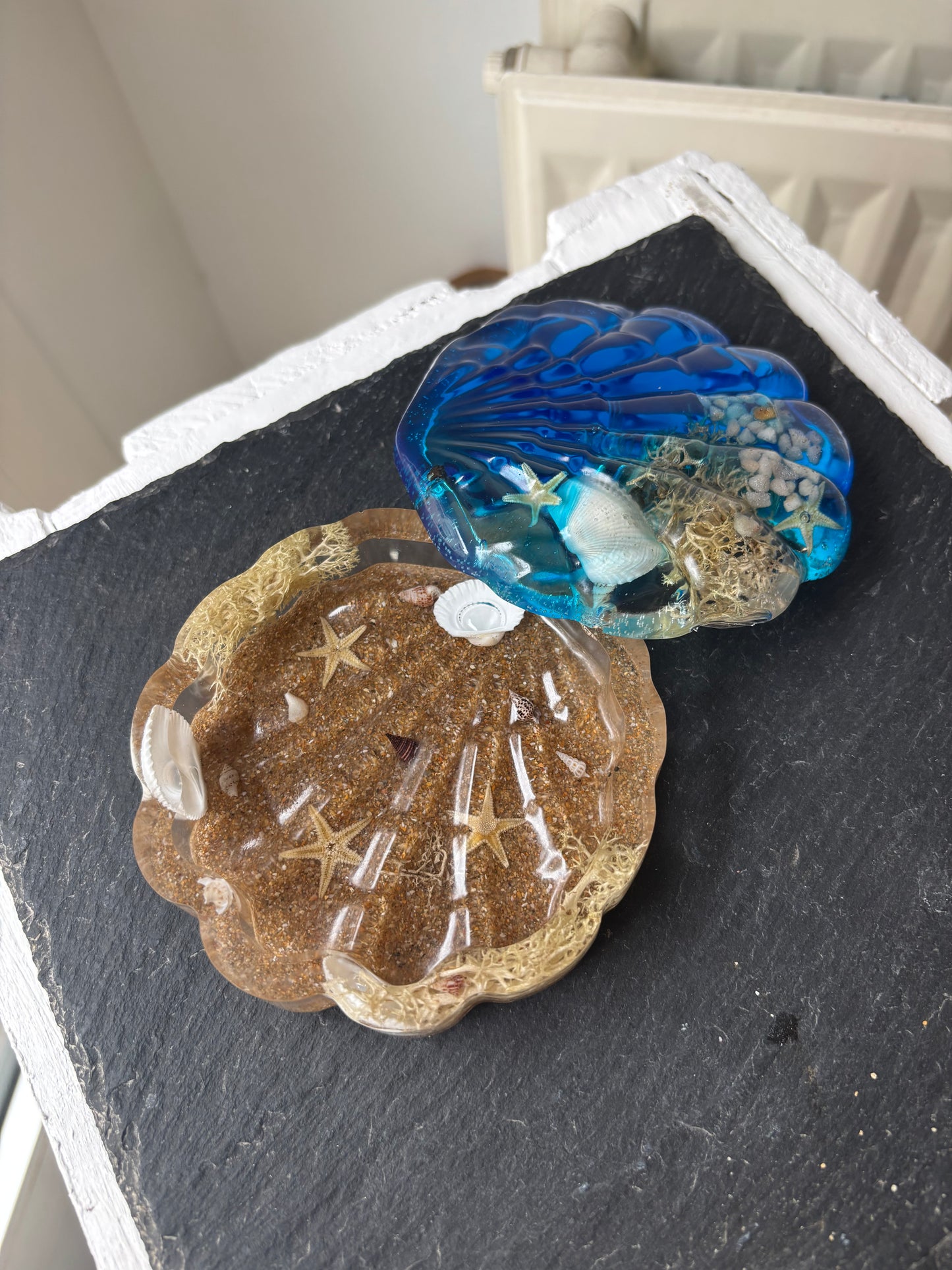 Boîte coquillage océan