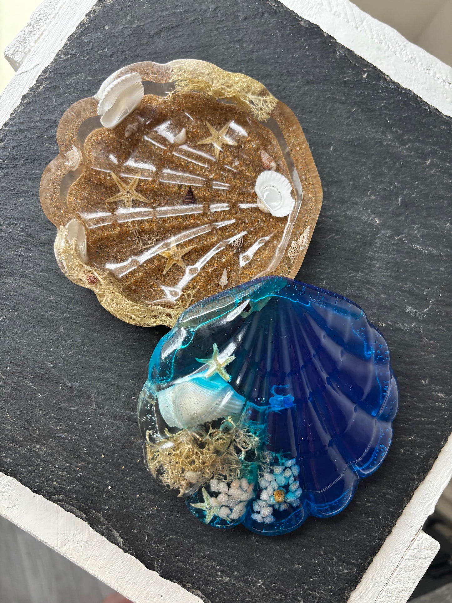 Boîte coquillage océan