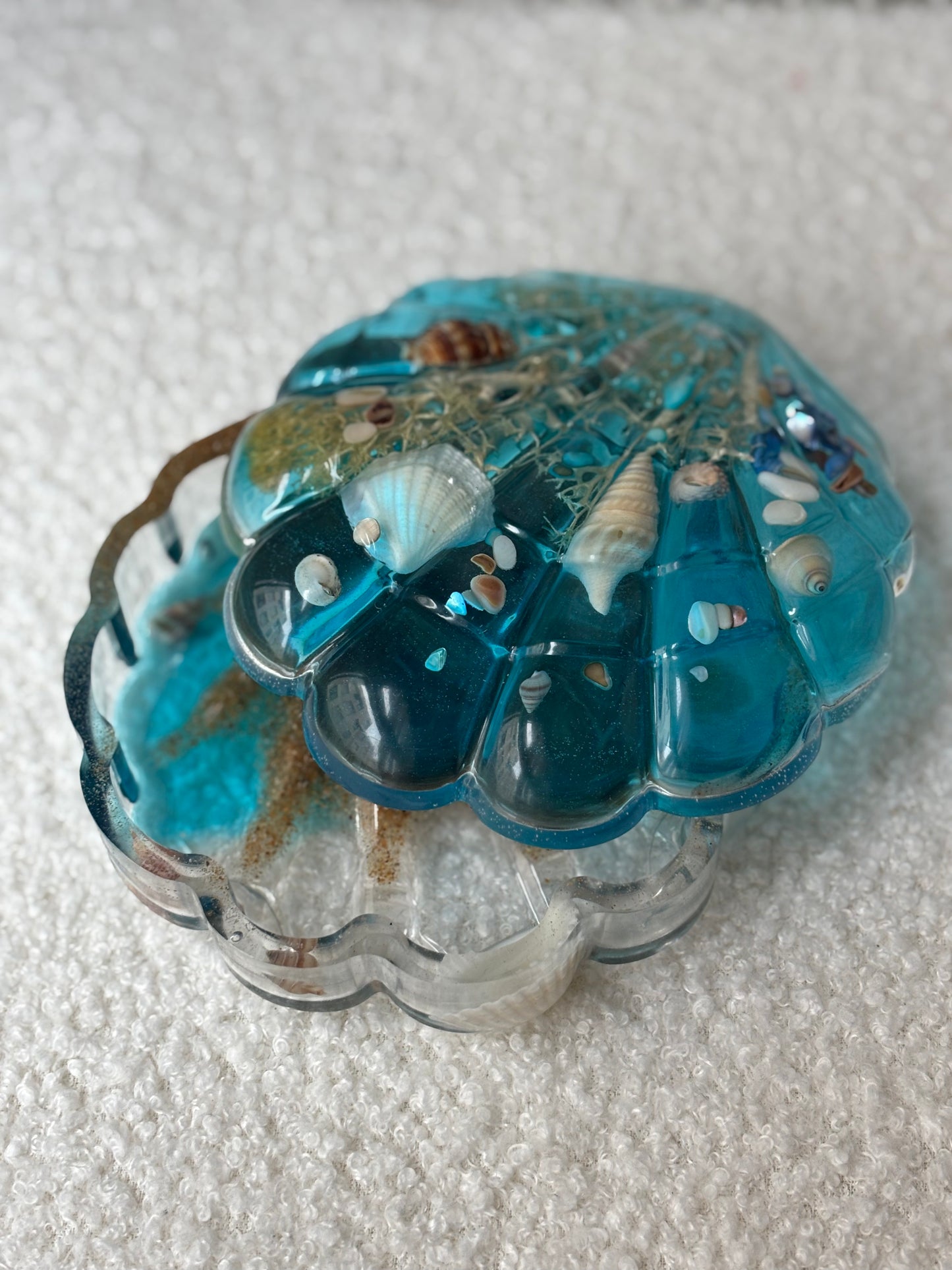 Boîte géante coquillage