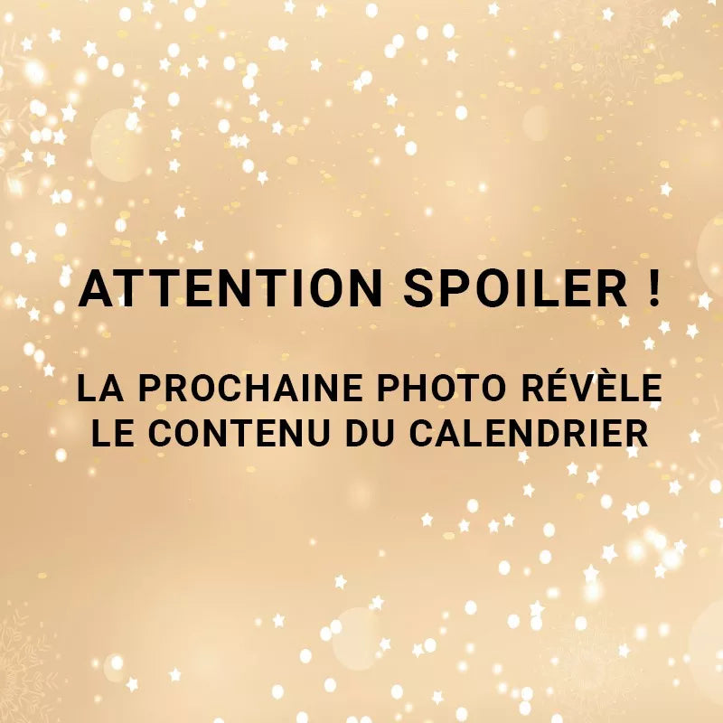 Calendrier de l'avent erotique 2024 - Sexy Xmas Calendar