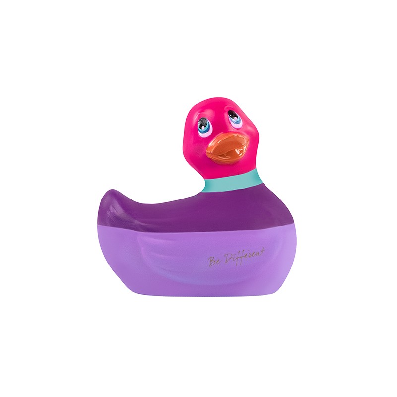 Canard Vibrant Lila