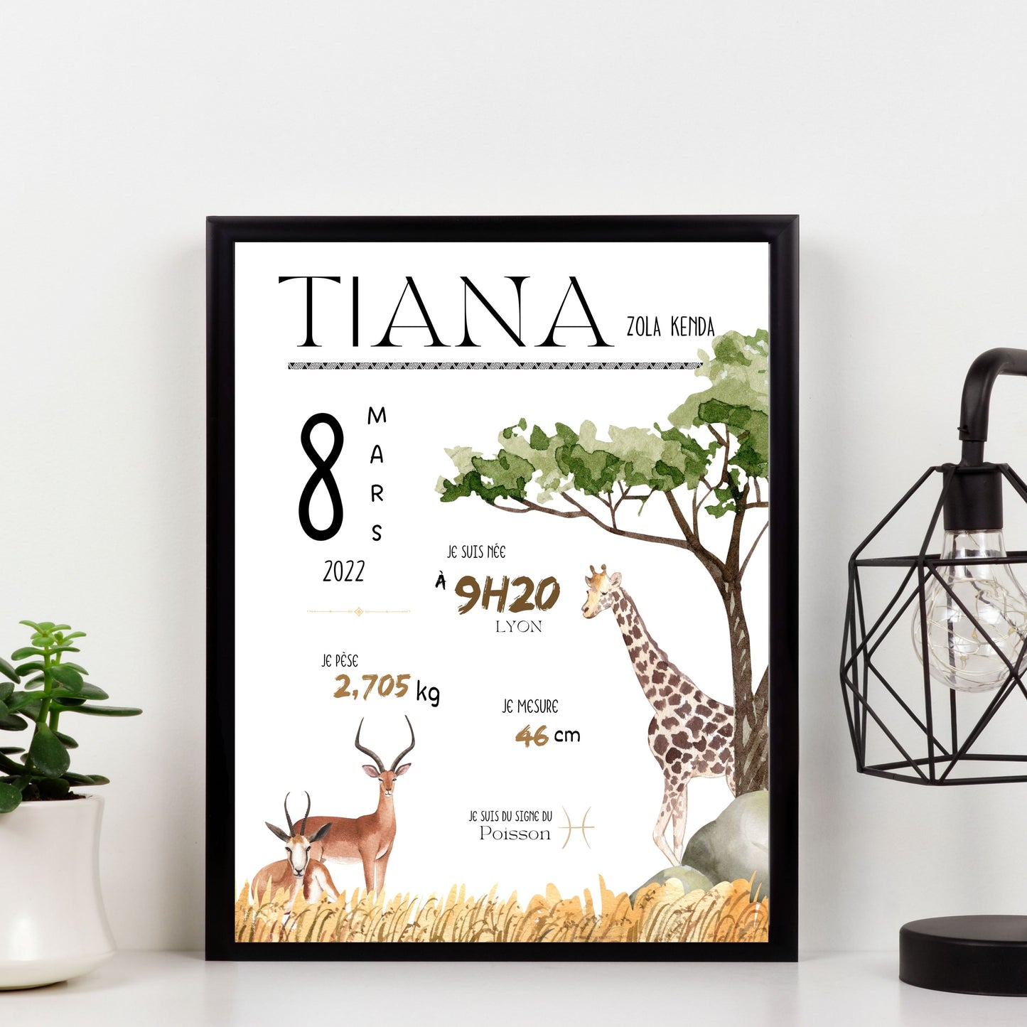 Affiche de Naissance Africa