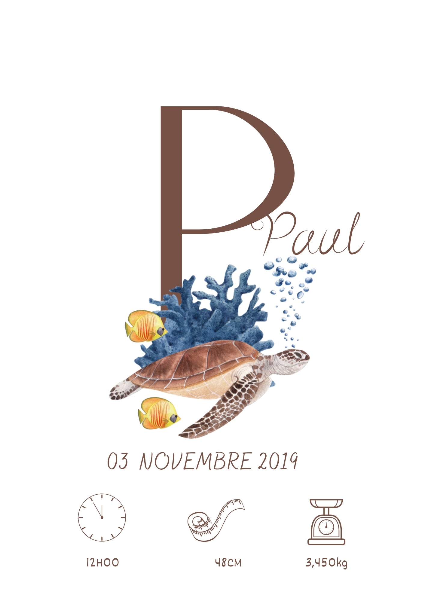 Affiche de naissance Tortue