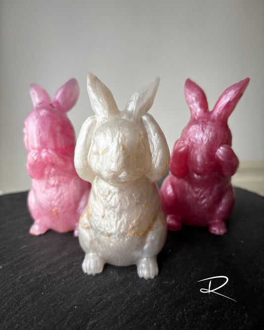 Lapins coquins