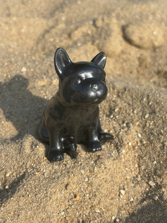 Mini Bouledogue noir