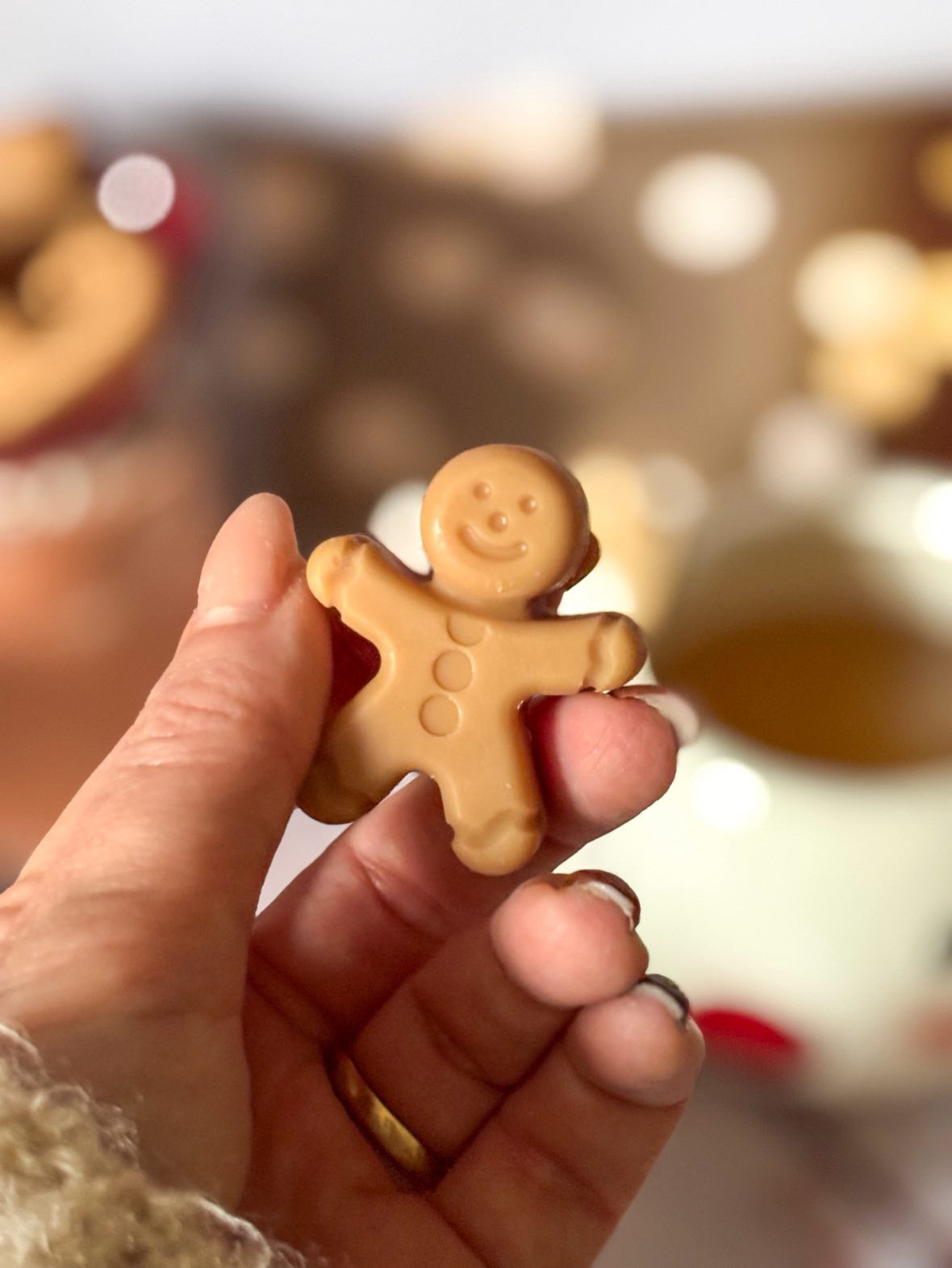 Boîte Pains d’épices et sucre d'orge fondants