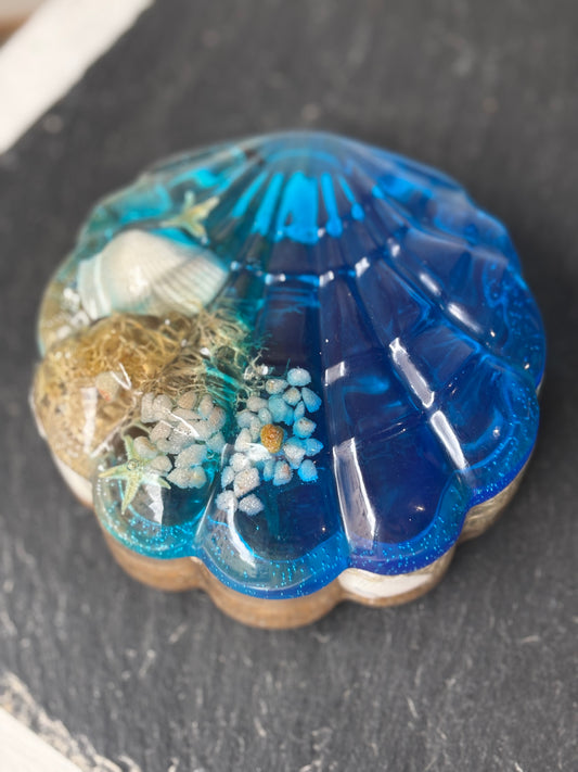 Boîte coquillage océan