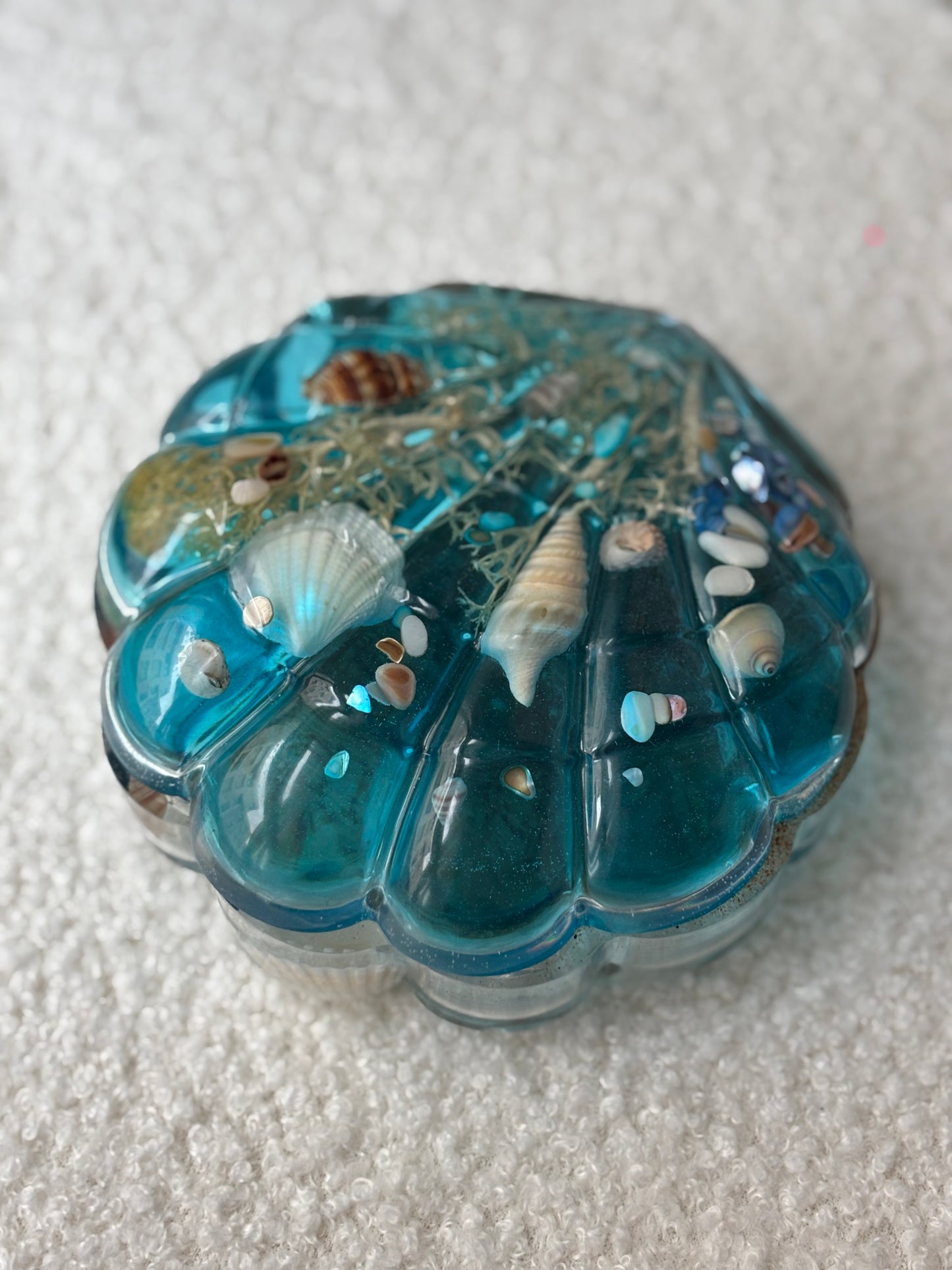 Boîte géante coquillage