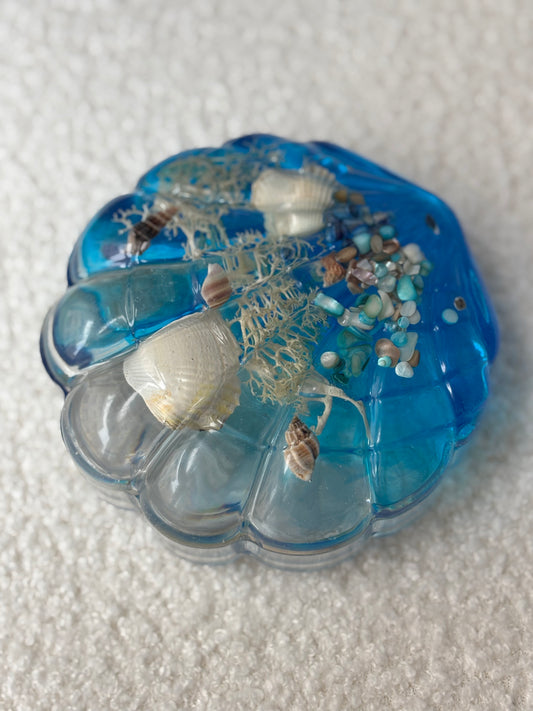 Boîte géante coquillage