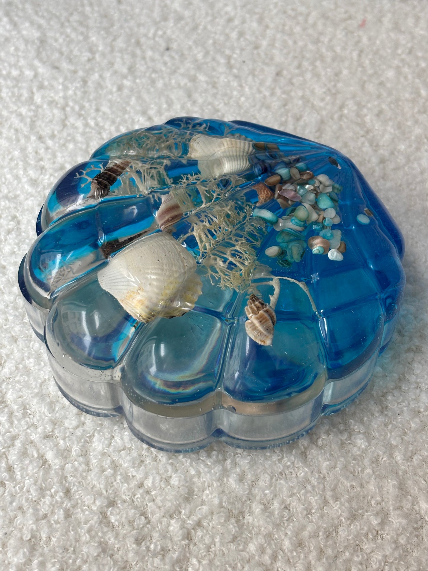 Boîte géante coquillage