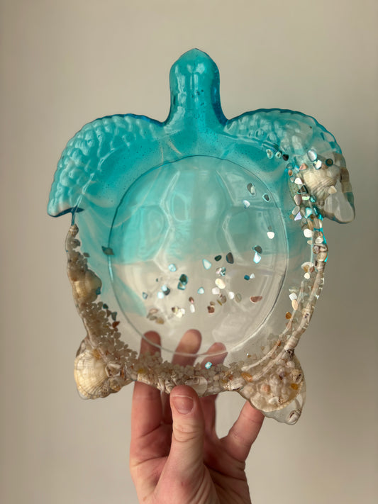 Plateau Tortue