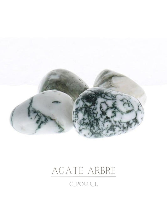 Pierre roulée Agate Arbre