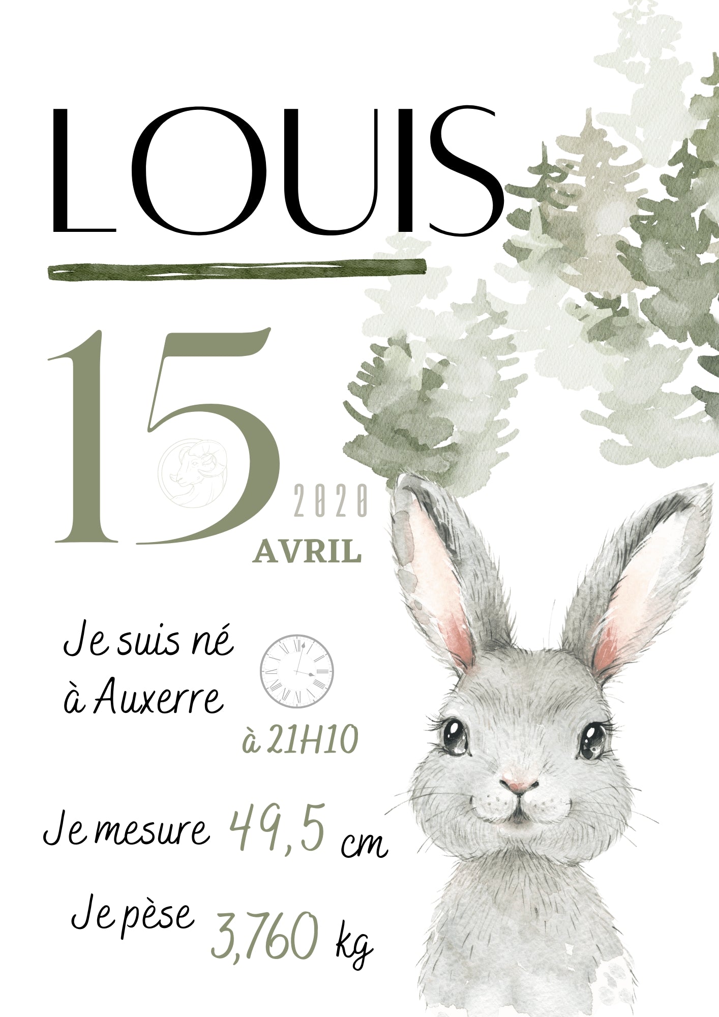 Affiche de naissance Lapin