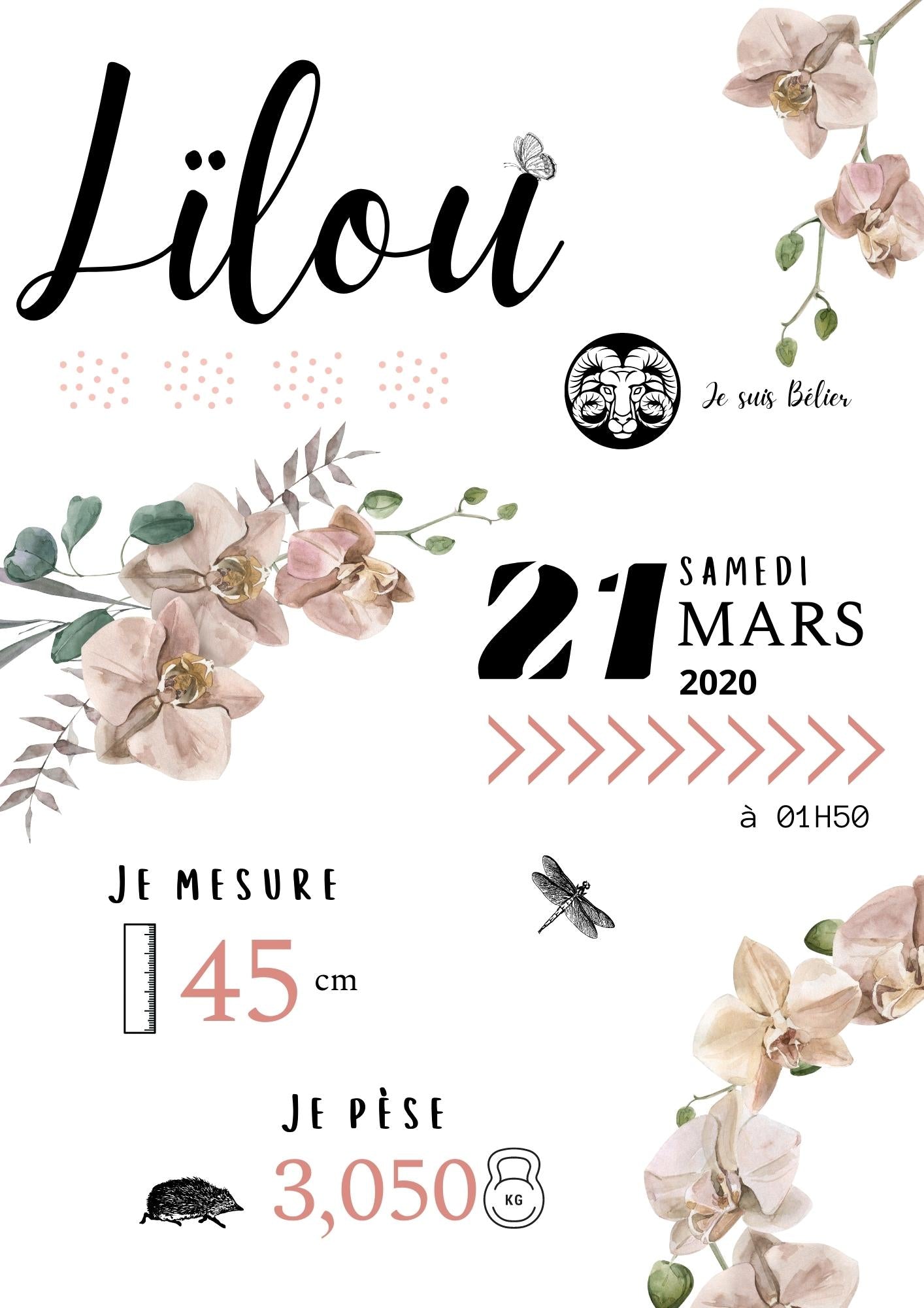 Affiche de naissance Orchidées