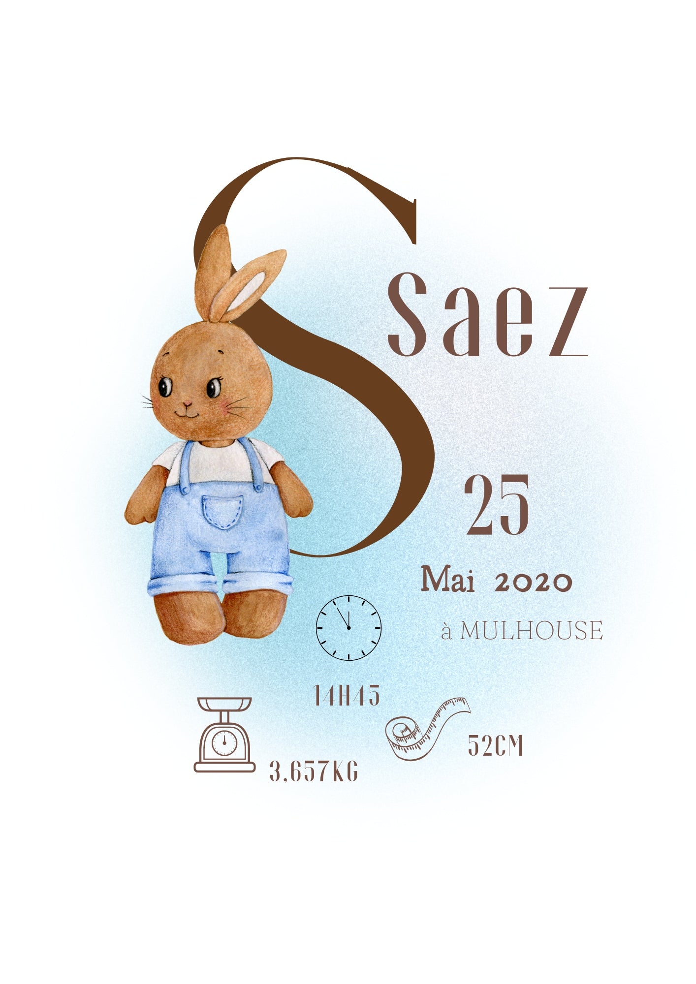 Affiche Naissance Lapin